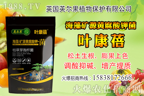 ��ô�Д����׺�ˮ��������������ˮ���й��ж���(j��ng)���