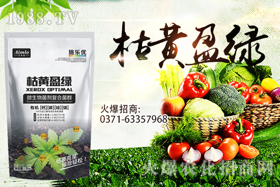 ʮ�¼������������r�ܝq������9��29��С���r���߄���