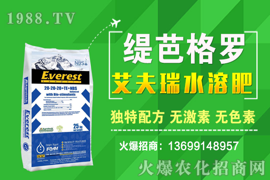 С���r(ji��)��q����ʮ��С�������A(y��)�y(c��)��