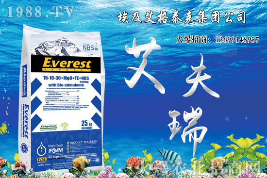 ����������Ҫ�c(di��n)����Щ�����������g���������x(ch��ng)��������