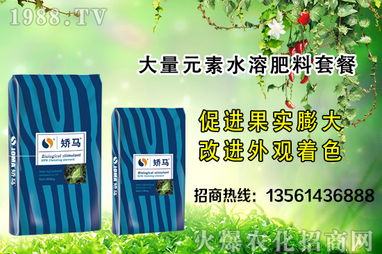 �＾����ʩ�ʵĺ�̎����Щ���＾����ʩ��ָ��(d��o)������