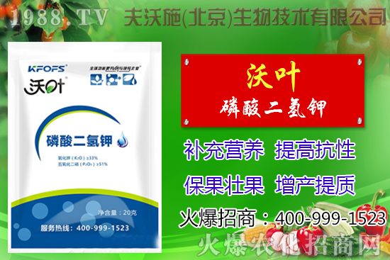 ���t��ժ�~����Щ��̎������ժ�~���g(sh��)��ע�������