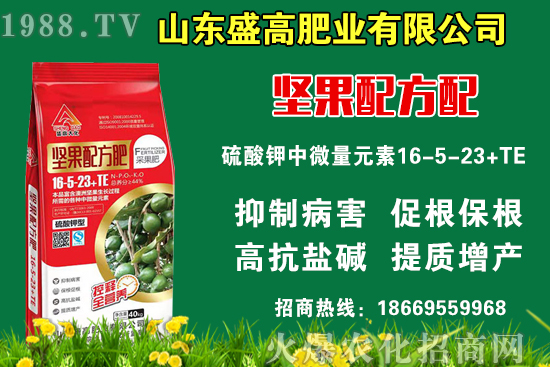 С���r��߀Ҫ�ϝq����9��9�Շ���(n��i)С���r��������