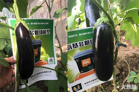 �߲�ˮ����������