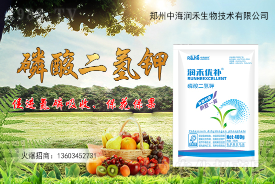 ����һ���굽��ԓ��ôʩ��������ʩ��ע���������Щ��