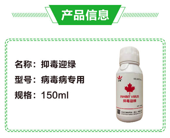 �ֶ�ӭ�G�����β�������-�G��_02