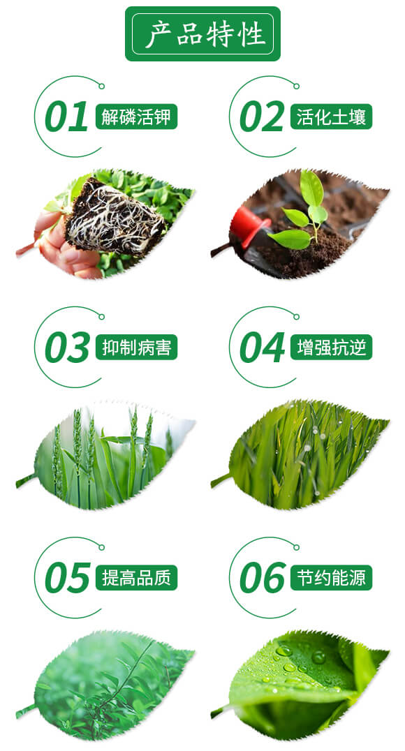 ����̿����(f��)�Ϸ�17-17-17-���d-�������r(n��ng)��_03