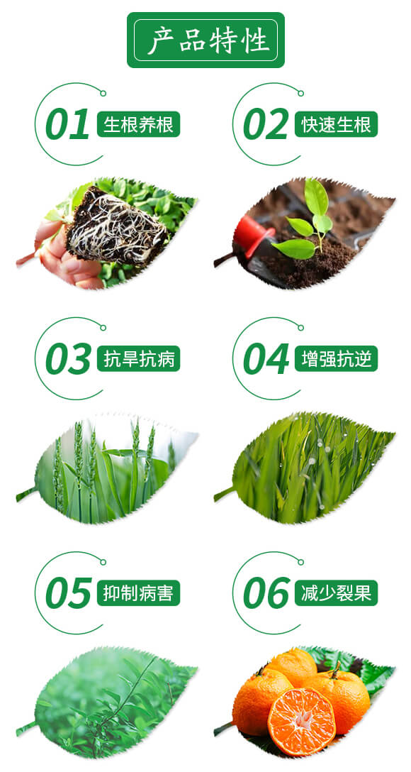 �VԴ�S����⛽;���-��������-�������r(n��ng)��_03