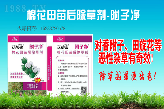 2021-1-29�󶹳��݄��r(ji��)������