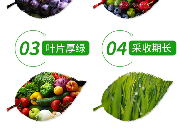 �ЙCˮ�ܷ���-���\�V-�����r_07