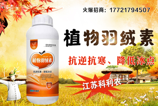 �����׷Nֲ�ܶ���ΰ��գ�������ʩ�ʼ��к��ڹ�����