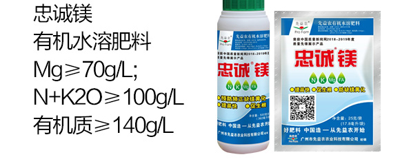 �ЙCˮ�ܷ���-���\�V-�����r_04