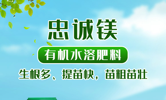 �ЙCˮ�ܷ���-���\�V-�����r_01