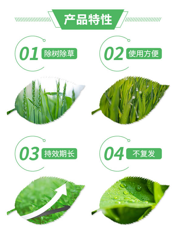 75%�h(hu��n)�ͪ��500�ˣ�-�s���-ϲ�S��_02