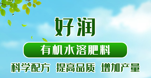 500g�ЙC(j��)ˮ�ܷ���-�Ý�(r��n)-��������_01