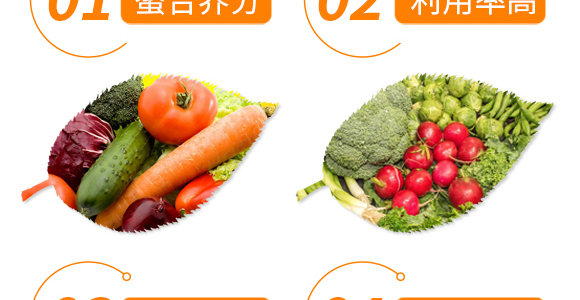 ����Ԫ��ˮ�ܷ���13-7-40+TE-��΢�-��������_06