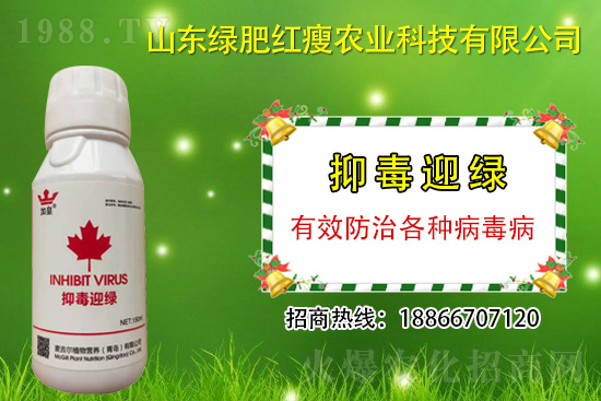 ���β�������Ҳ���ð������ֶ�ӭ�G�����β�������