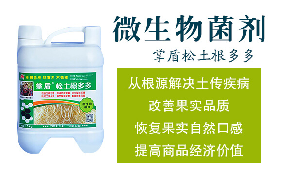 ΢�������-�ƶ����������-�����_(d��)_02