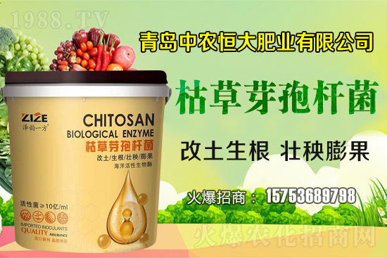 �ݲ�ѿ�ߗU������ǡ����С������ݲ�ѿ�ߗU�����w�������˽�᣿