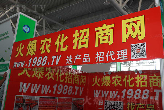 ��s������2021ɽ�|ֲ�������𱬾W(w��ng)��������ʢ�e��