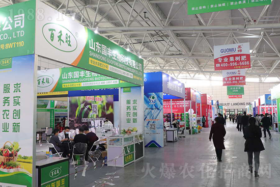 ��s���2021ɽ�|ֲ�������𱬾W(w��ng)��������ʢ�e��