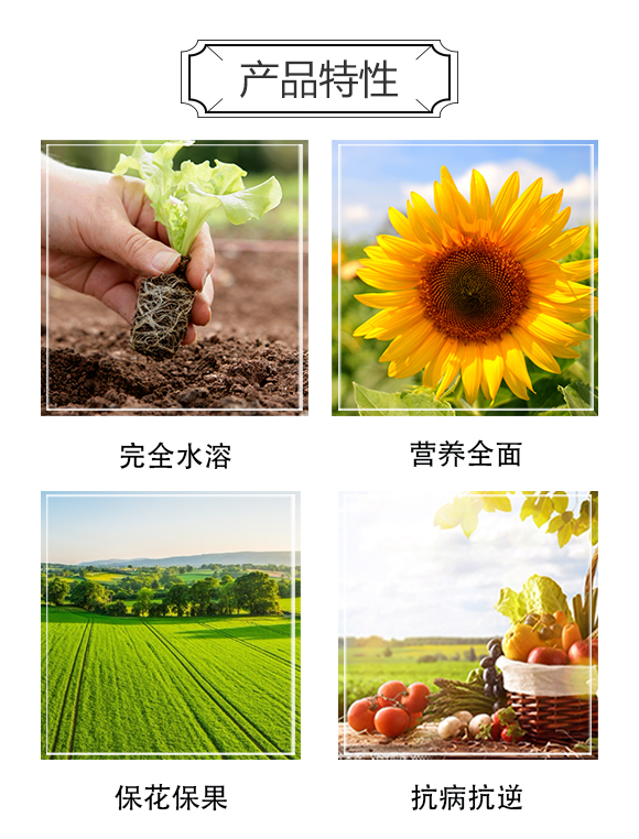 ��ɫ�к������Q(m��o)(����)���޹�˾2_03