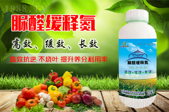 ���؃r�������2021��10��8�����؃r��