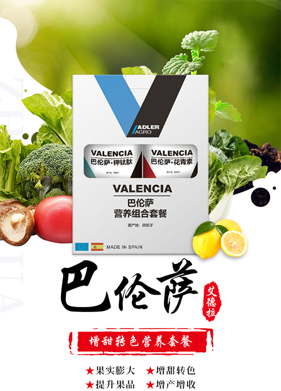 �������������ɷ����޹�˾1_01