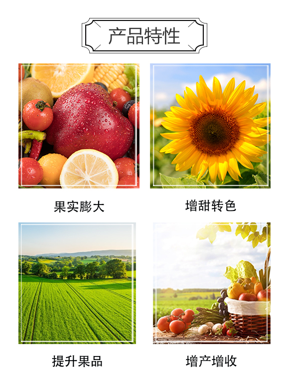 �������������ɷ����޹�˾1_03