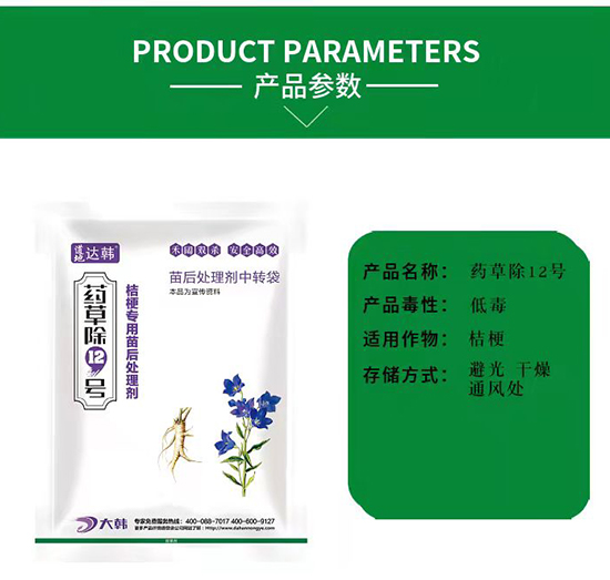 �۹����݄�-�۹����-�۹����-ˎ�ݳ�12̖-���n2