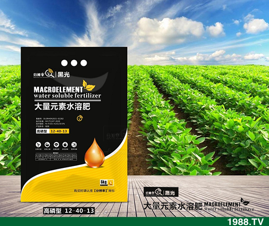 ����(w��n)�\(y��n)����2021.12.31����������@�r(ji��)��