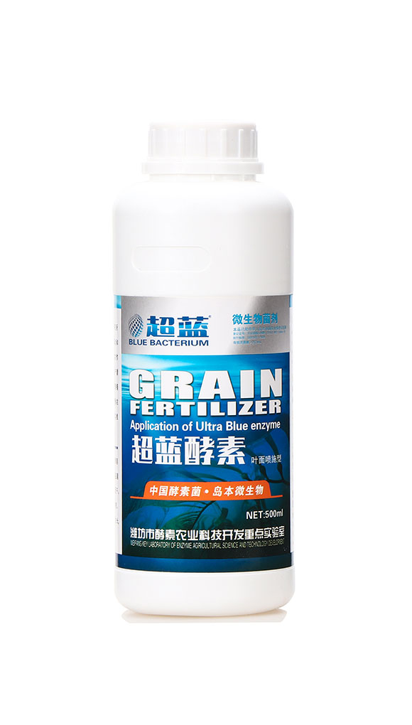 ���{(l��n)����-�A�I1