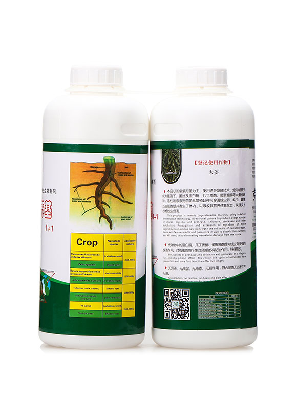 ��������B(y��ng)��+���Ѽ�����-�A�I2