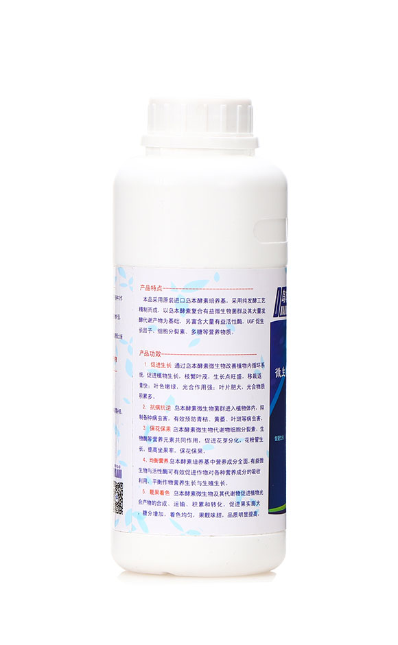 �u�����ء��u��1̖-�A�I����2