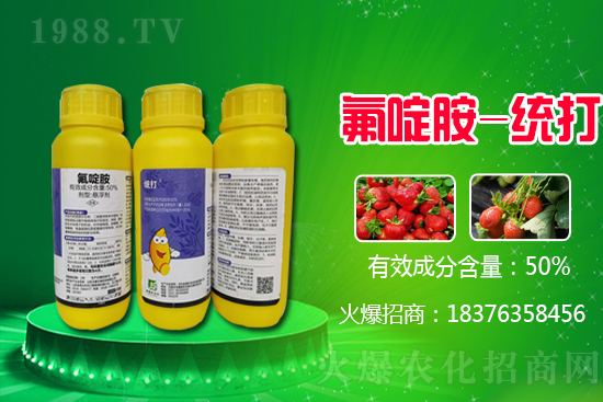 2021��2��5��ɽ�|���[�r������