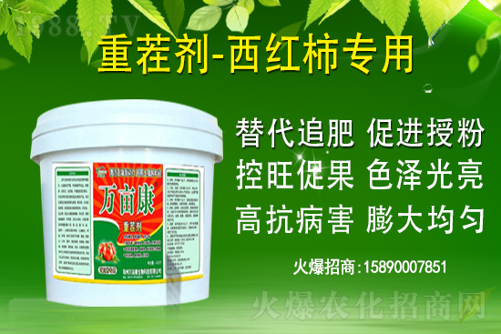 ��ʲô����(sh��)���ҽ��h�������@�}�������h��������