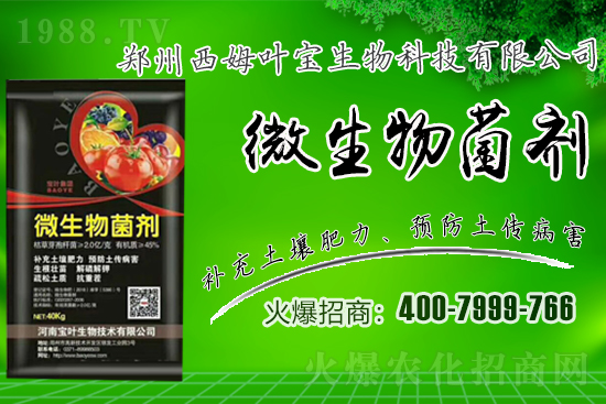 �����m��¶��������߲�Ʒ�N����Щ������Щ�Nֲע�����(xi��ng)��