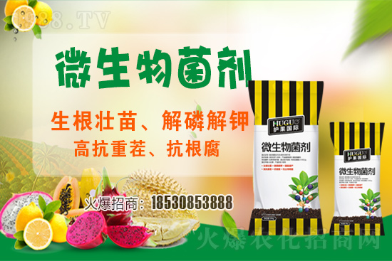 ��ݮ�����F(xi��n)���l���l(f��)������ҪԴ��ʲô������