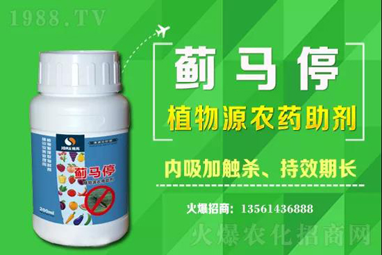 2021��4��19�����ך��x���r������