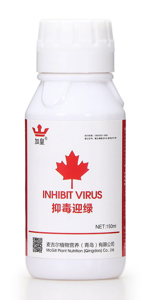 �ֶ�ӭ�G�����β������� �G��5