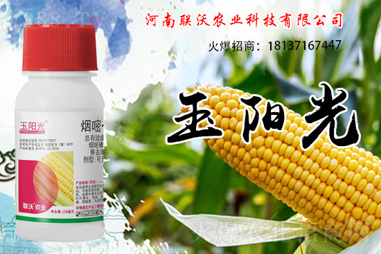 ���׳��ݞ�ʲô�x����������������݄���δ�