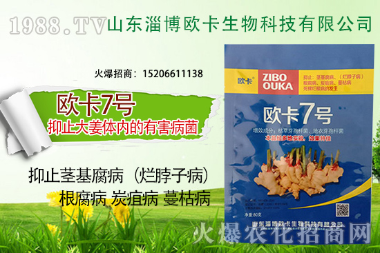 �W�������ٺ�1988.TV������(sh��)�F(xi��n)��I(y��)�v�w����