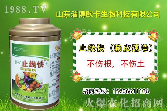 �W�������ٺ�1988.TV������(sh��)�F(xi��n)��I(y��)�v�w����