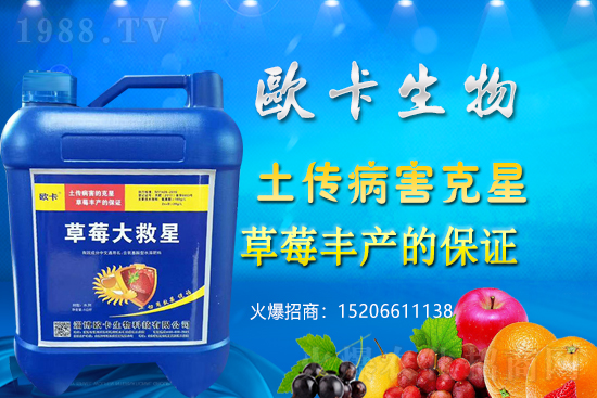 �W�������ٺ�1988.TV������(sh��)�F(xi��n)��I(y��)�v�w����