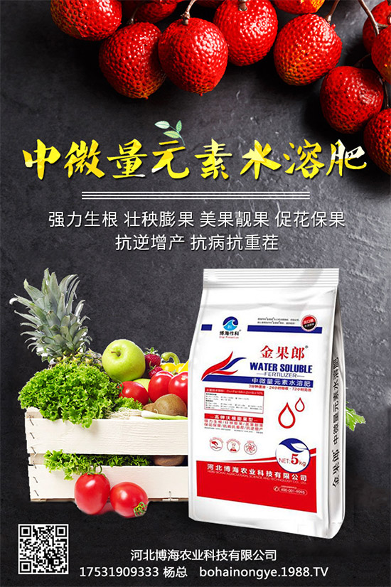 �����r(n��ng)���ٴ����v���r(n��ng)�����̾W(w��ng)����(sh��)�F(xi��n)��I(y��)�°l(f��)չ��