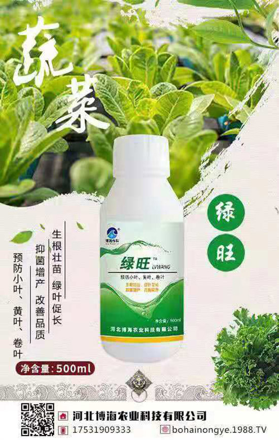 �����r(n��ng)���ٴ����v���r(n��ng)�����̾W(w��ng)����(sh��)�F(xi��n)��I(y��)�°l(f��)չ��