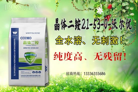 һ�@���m(x��)��λ��2021.6.25���@�r���������