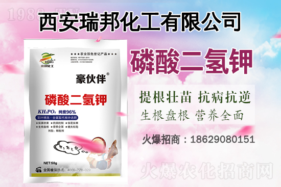 �Ȼ�⛸߃r(ji��)�\(y��n)����2021.6.29⛷ʃr(ji��)��������?q��ng)?b��o)