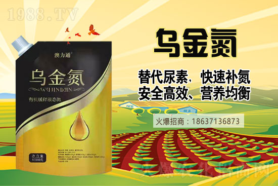 ���؃r���ǝq�ǵ���2021��6��9���A�����؃r��һ�[