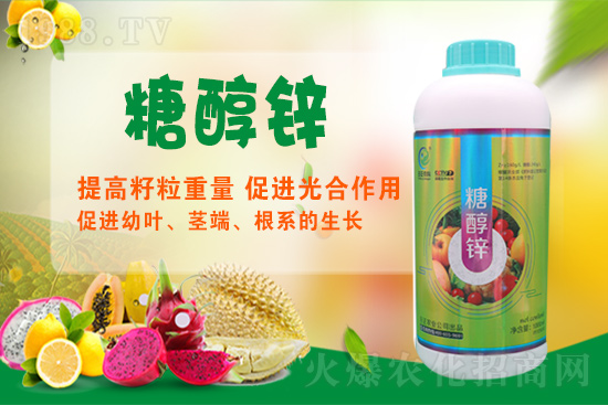 ����a�\�����Ǵ��\���Ǵ��\���ö�����Щ��